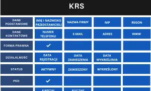 Kto jest kim w KRS? Kluczowe informacje o osobach i firmach