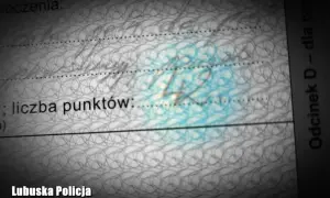 Na dokumencie widnieje napis "liczba punktów:", a pod nim cyfra "42". Czy sąd może dać punkty karne?