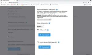 Jak pobrać sprawozdanie finansowe z KRS bez zbędnych trudności