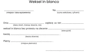 Formularz weksla in blanco do wypełnienia, zawierający pola na miejsce i datę wystawienia, sumę wekslową, datę, kwotę słownie, miejsce płatności i podpis wystawcy.
