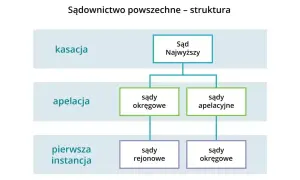Schemat struktury sądownictwa: kasacja wyroku co to? Sąd Najwyższy, sądy apelacyjne, okręgowe i rejonowe.