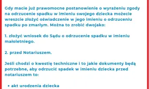 Odrzucenie spadku przez małoletniego: O co pyta sąd? Wyjaśniamy