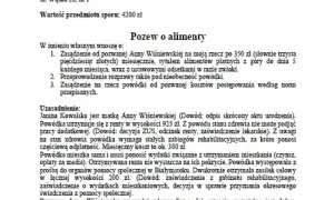 Czy można ręcznie napisać pozew o alimenty? Poznaj fakty