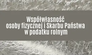 Czy skarb państwa jest osobą prawną? Zrozum jego prawa i obowiązki