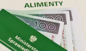 Ile sąd może zasądzić alimentów? Poznaj limity i czynniki wpływu