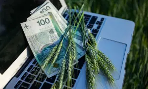 Złote polskie i kłosy zboża na klawiaturze laptopa. Czas na złożenie wniosków o dopłaty rolnicze.