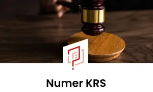 Ile cyfr ma numer KRS? Poznaj kluczowe informacje o identyfikatorze