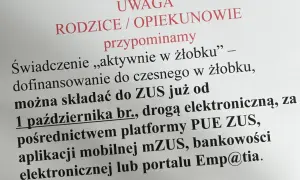 Dofinansowanie do żłobka "aktywnie w żłobku" można składać do ZUS od 1 października br. elektronicznie.