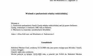 Pytania sądu o pozbawienie władzy rodzicielskiej - co warto wiedzieć