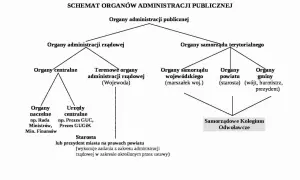 Czy sąd jest organem administracji publicznej? Poznaj fakty