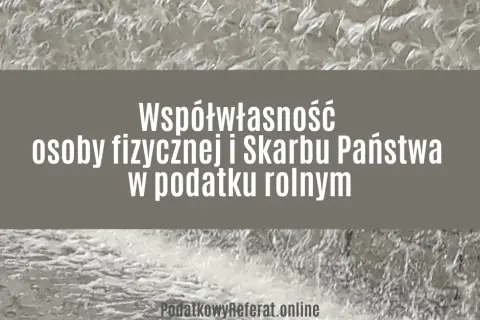Czy skarb państwa jest osobą prawną? Zrozum jego prawa i obowiązki