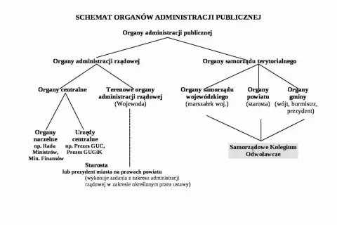 Czy sąd jest organem administracji publicznej? Poznaj fakty