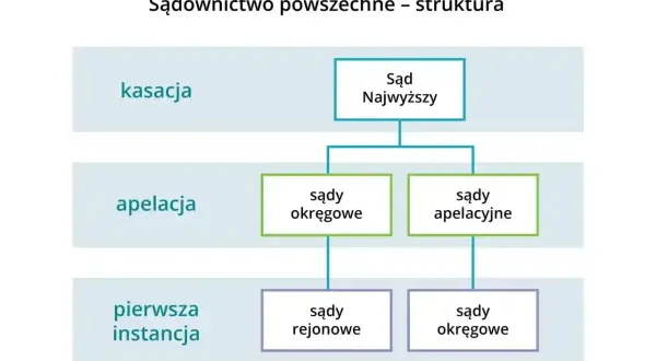 Schemat struktury sądownictwa: kasacja wyroku co to? Sąd Najwyższy, sądy apelacyjne, okręgowe i rejonowe.