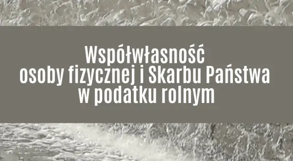 Czy skarb państwa jest osobą prawną? Zrozum jego prawa i obowiązki