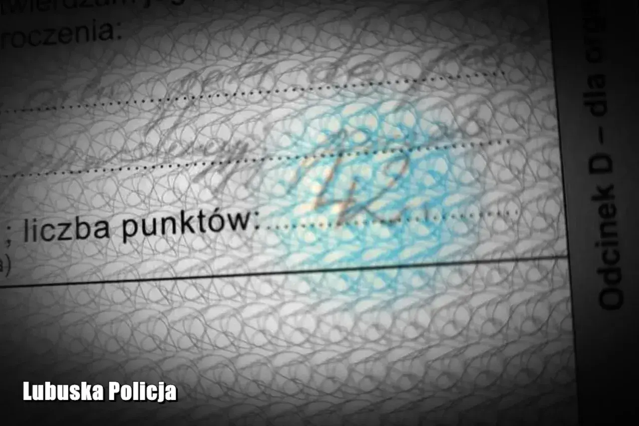Na dokumencie widnieje napis "liczba punktów:", a pod nim cyfra "42". Czy sąd może dać punkty karne?