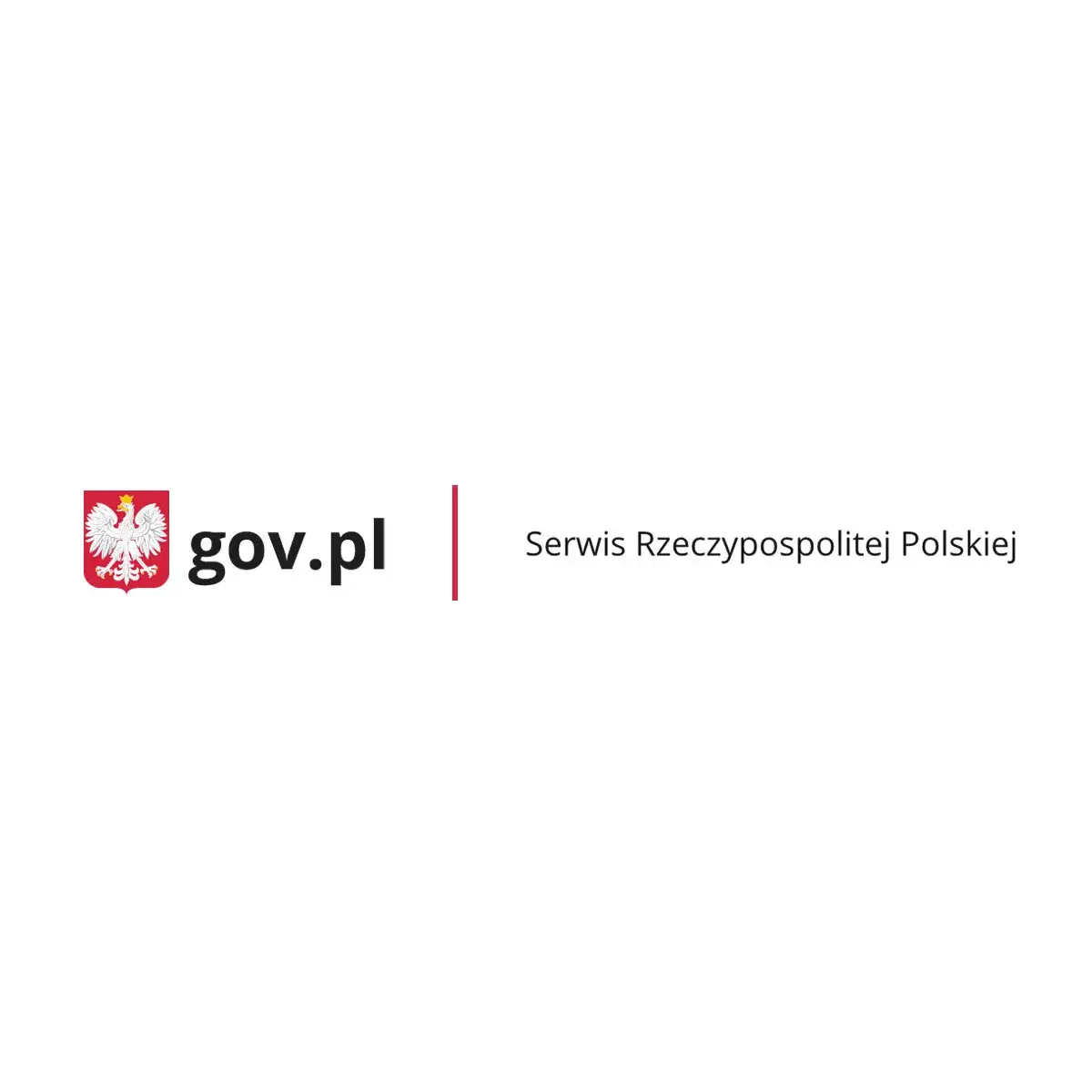 Zdjęcie Jak odzyskać prawo jazdy po wyroku - uniknij problemów z dokumentami