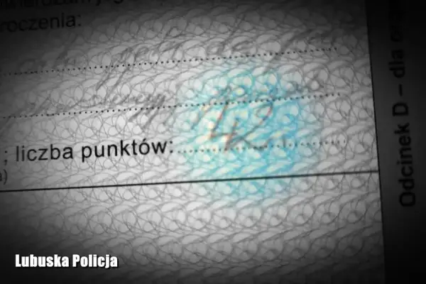 Na dokumencie widnieje napis "liczba punktów:", a pod nim cyfra "42". Czy sąd może dać punkty karne?