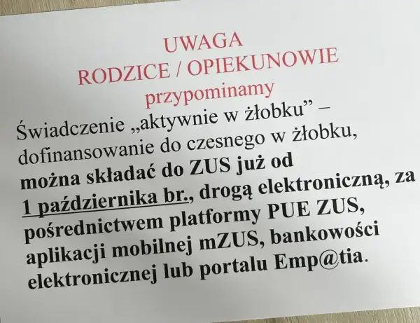 Dofinansowanie do żłobka "aktywnie w żłobku" można składać do ZUS od 1 października br. elektronicznie.