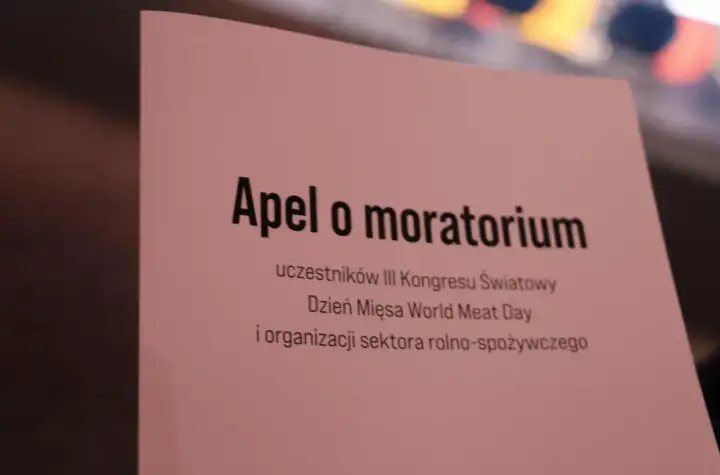 Moratorium - Czym jest i jak czytać wstrzymanie przepisów?